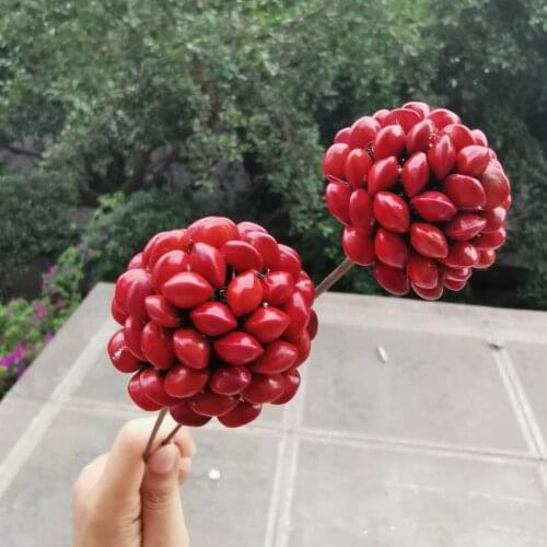 3pcs/4cm head,Craft Acacia red bean Display Flower with Wire Branch,Natural real Dried bean Wedding Home Decoration accessories