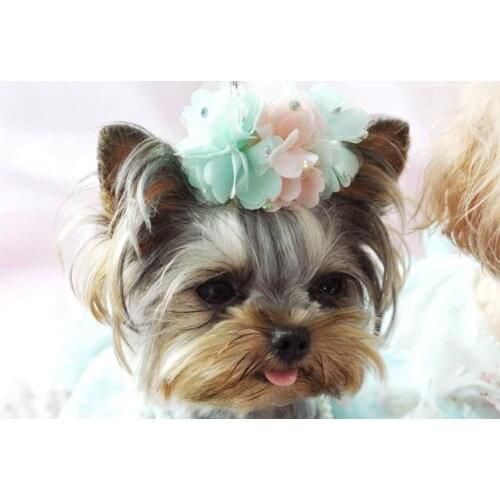 8cm Pet big flower hairpin Yorkshire bow hair accessories Teddy Maltese hairpin 5pcs/lot