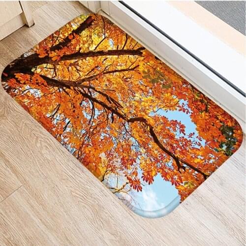 40x60cm Cute Diy Print Floor Mat Bathroom Ground Mat Slip Door Bath Pad Rug Living Room Kitchen Carpet Home Decor Scenery