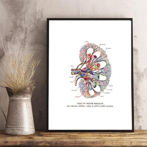 Anatomy Heart Brain Abstract Medicine Wall Art Print Canvas Painting Nordic Posters And Prints Wall Pictures For Living Room