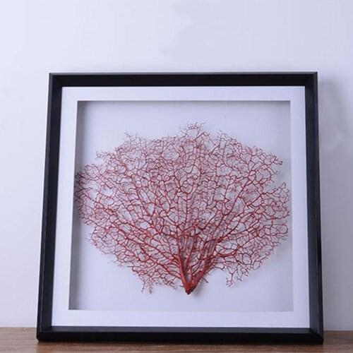 Natural Sea Tree Cycas 30-40cm Shell Fish Tank Decoration Gorgonian Natural Fish Decor Coral Tree Large Tank Sea Cycas Home O1I0