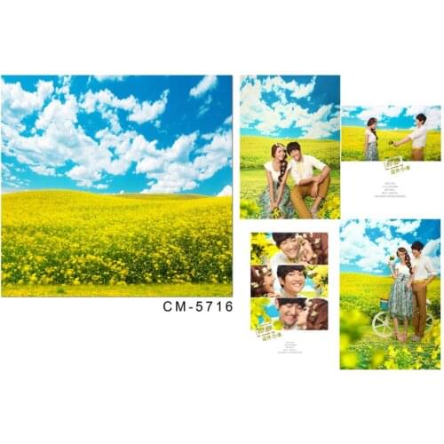 VinylBDS 200cmX150cm weddings backgrounds Yellow flowers blue sky and white clouds wedding background photography CM CM-5716
