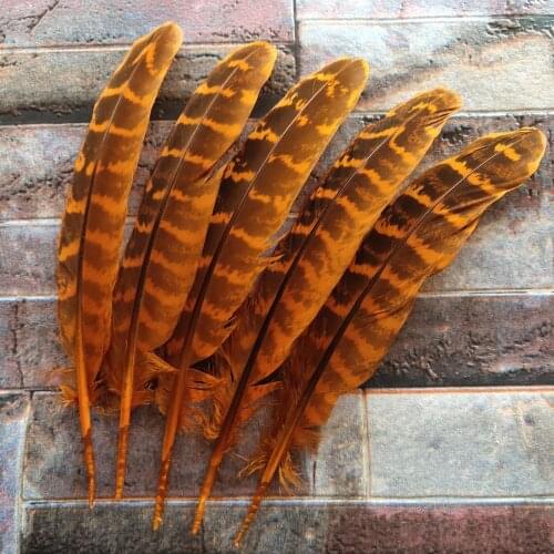 Wholesale 10Pcs Beautiful Orange 10-15cm/4-6inches Natural Pheasant Feathers DIY Jewelry Christmas Holiday Decoration