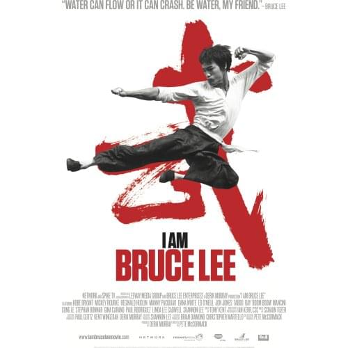 Artistic canvas or silk print movie Kung Fu star Bruce Lee poster 24x36 12x18 inches for interior decoration
