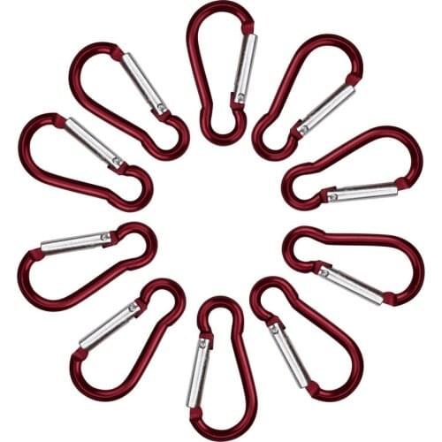 10pcs Carabiner Aluminum Alloy D Ring Key Chain Carabiners Hook Spring Snap Clip Hooks Keychain Climbing Equipment Outdoor Tools