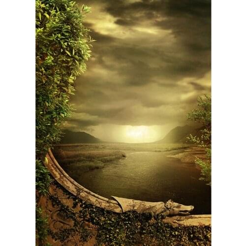 Sunset Photographic Background For Photograph Accessories Children Kids Baby Shower Newborn Portrait Cloth Backdrop Photo Shoot