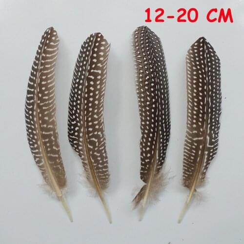 Wholesale 20pcs 12-18cm Beautiful Chicken Pheasnt Plumas Feather For Mask Show Decoration DIY Crafts Jewelry Accessories Plume