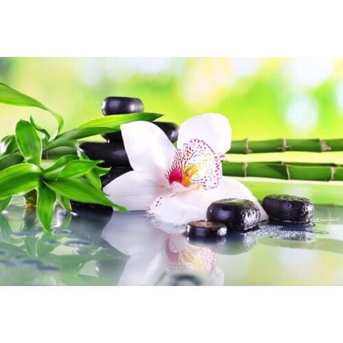 Full Square Round Drill 5D DIY Diamond Painting Flowers Bamboo Stone 3D Embroidery Cross Stitch Mosaic Rhinestone Decor gift