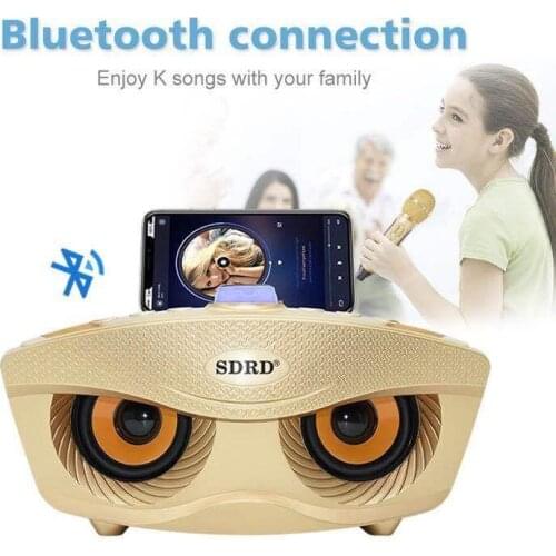 SD306 Dual Bluetooth Speaker With 2 Wireless Microphones Outdoor Family KTV Stereo Mic Big Sound 20W SDRD Sd 306 Speaker Set