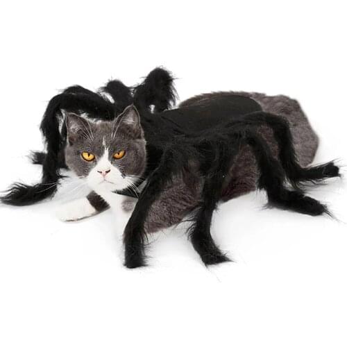 Halloween Pet Spider Clothes Puppy Cosplay Black Spider Simulation Costume For Dogs Cats Party Cosplay Funny Outfit