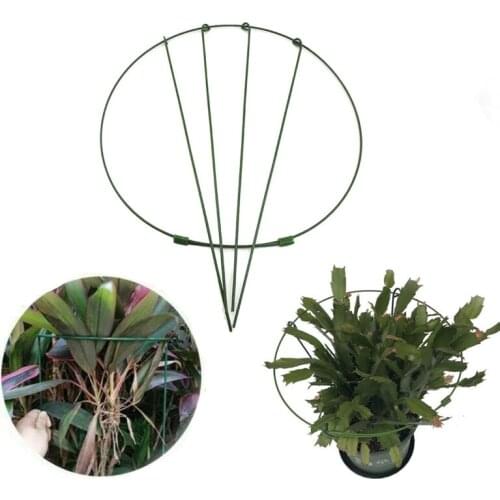 Metal Garden Support Stake Ring Peony Herbaceous Plant Flower Stand Trellis Iron Stand Gardening Tools Vegetables Plant M20