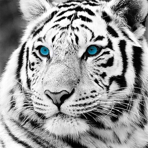 White Tiger Head Diamond Painting Animal Round Full Drill 5D Nouveaute DIY Mosaic Embroidery Cross Stitch Home Decor Gifts