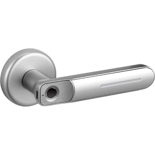 Keyless Entry Door Safe Biometric Digital Auto-Lock Handle for Office Apartment Fingerprint Door Lock