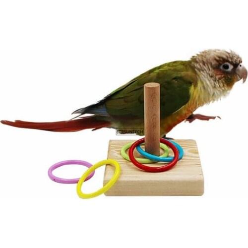 50pcs Wooden Bird Parrot Platform Plastic Ring Intelligence Training Chew Toy Bird Toy Supplies Pet Develop Intelligence
