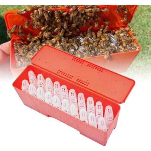 Beekeeping Supplies Red and Orange Queen Bees Shipping Box with 20PCS Queen Cages Queen Rearing Equipment Queen Cell Incubator