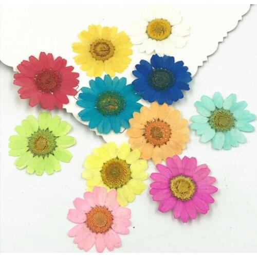 12Pcs Dried Flowers UV Resin Filler Jewelry Making Plant Decoration Flowers Chrysanthemum Natural Embossing Crafts Resin Mold