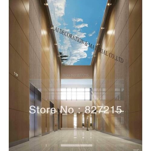 S-5869 /Print Ceiling tiles /PVC Stretched Ceiling Film/Home or Ceiling Decoration/Function as Ceiling Panel