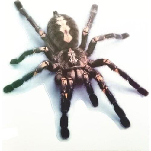 14*16cm Spider 3D Car Sticker Scorpion Side Decal car Accessories for Land Rover Range Rover/Evoque/Freelander/Discovery