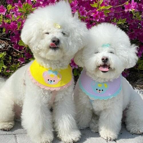 INS wind Korean four seasons bear bib three-section buckle dog bib pet saliva towel cat dog bib