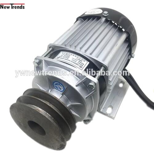 BM1418ZXF 500W 36V 48V 60V double pulley drive brushless dc motor for amusement car DIY equipment