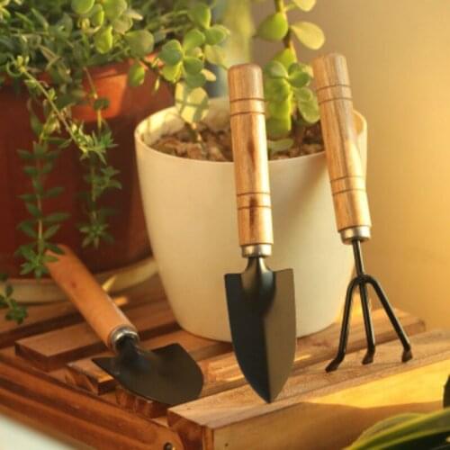 Garden Tool Set Rake Tip Shovel Large Gardening Three-piece Set Mini Succulents Loose Soil Flower Shovel