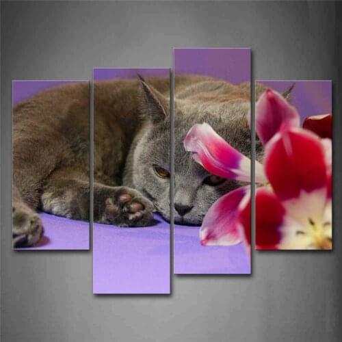 Gray Cat Lie On Purple Floor With Flower Wall Art Painting The Picture Print On Canvas Animal Pictures For Home Decor Decoration
