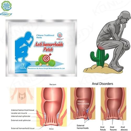 KONGDY Hemorrhoid Relieve Patch 21Pcs Herb Plaster Treatment Bleeding Anus Internal/External Hemorrhoid Pain Relief Anal Fissure