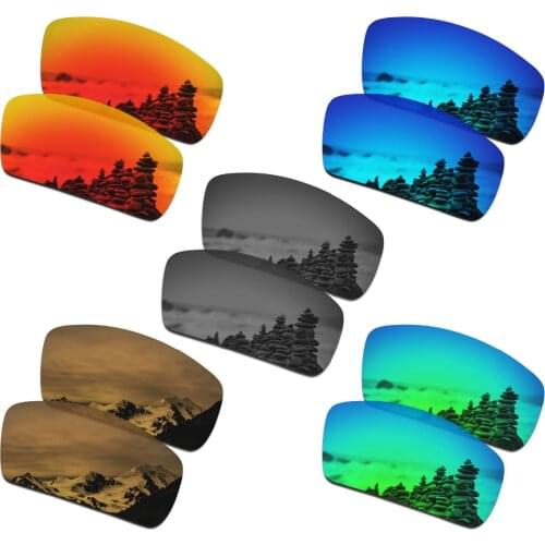 SmartVLT 5 Pairs Polarized Sunglasses Replacement Lenses for Oakley Canteen 2006 - 5 Colors