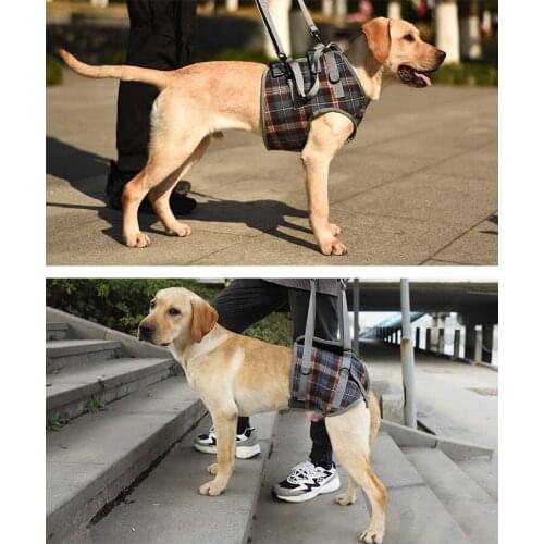 Pet Strap Dog Walking Support Leg Injury Protection Belt Aged Dog Auxiliary Belt