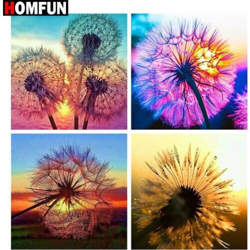 HOMFUN Full diamond Painting "Dandelion landscape" Resin Drill Embroidery 5D Diy Diamond Painting Handmade Cross Stitch gift