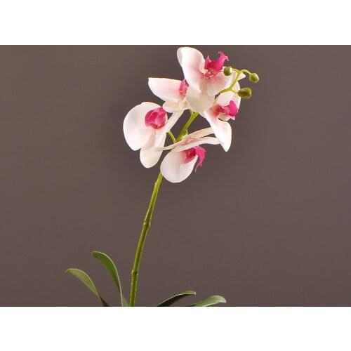 MBF 5 Heads Real Touch Artificial Butterfly Orchid Fake Silk Phalaenopsis With Leaves Home Wedding Decoration DIY Crafts Decor