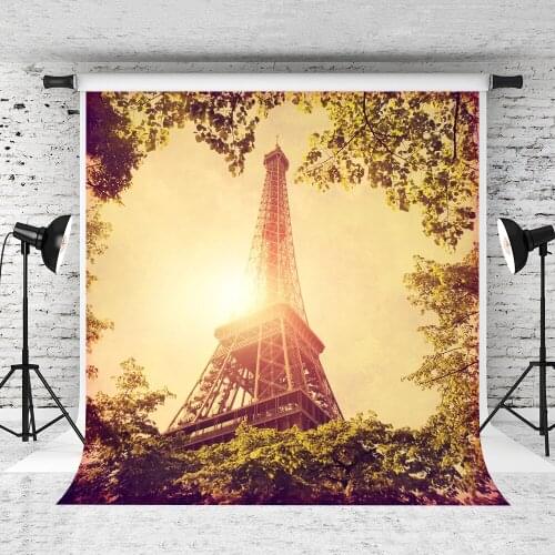 VinylBDS Backgrounds For Photo Studio Dream Eiffel Tower For Wedding Background Backdrop Wedding Backdrop
