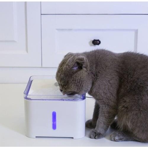 Bowls For Cats Yiling China