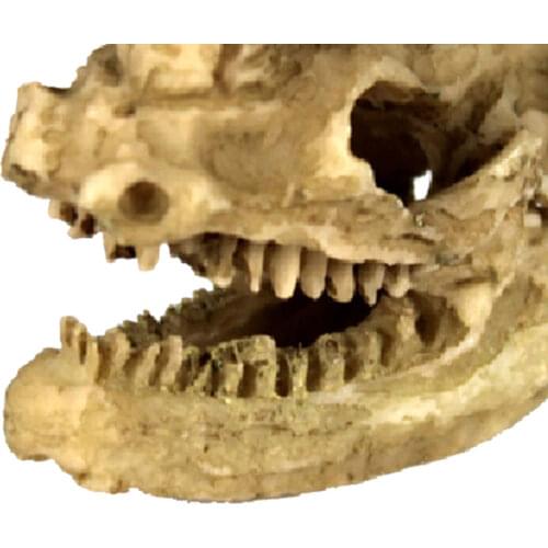 Reptile,Snake,Turtle,Vivarium Rock,Caves,Decor Aquarium Ornament Rhino Skull