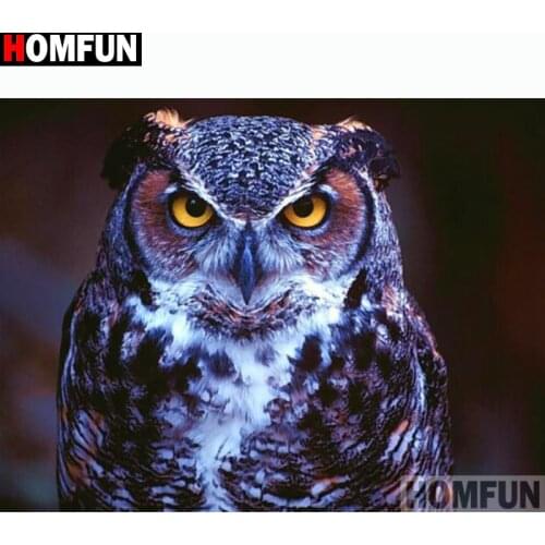 HOMFUN Full Square/Round Drill 5D DIY Diamond Painting "Animal owl" 3D Embroidery Cross Stitch 5D Home Decor A13200