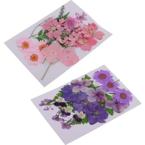 13 Kinds Flowers Natural Press Leaves Pressed Real Dried Flower Dry Leaves for DIY Arts Crafts Liquid Resin Pendant Scrapbooking