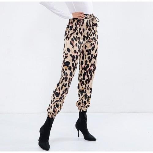 Paney Quin 2018 Winter Leopard Print High Waist Long Lantern Pants Fashion Loose Street Style Women Casual Pants