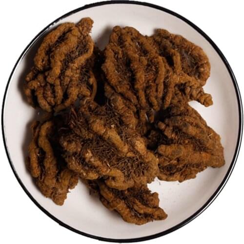 Coptis, Coptis, Golden Silk Coptis, Clearing Away Heat and Toxins, Relieving The Table and Cooling Down