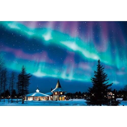 Dream Aurora The wooden puzzle 1000 pieces ersion jigsaw puzzle white card adult childrens educational toys