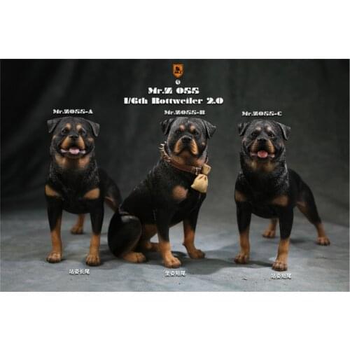 Mr.Z Studio 1:6 Rottweiler Figure Cute Police Pet Dog Animal Model Collector Decor Kid Gift Resin Office Desktop Accessories