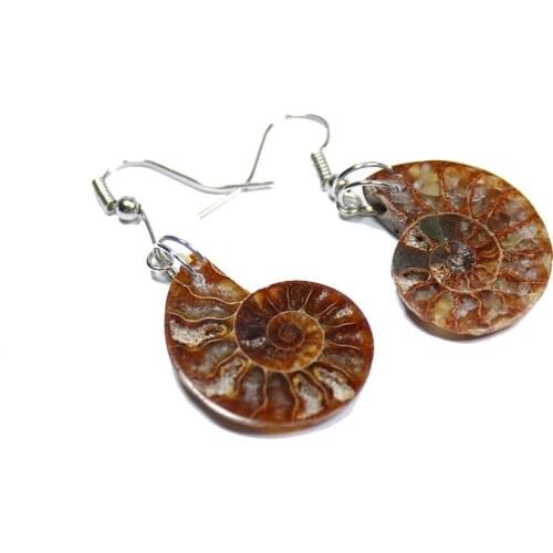Opalized AMMONITE Crystal Statement Earrings for Woman Girl Fossil Dangle Earrings Healing Crystals Jewelry