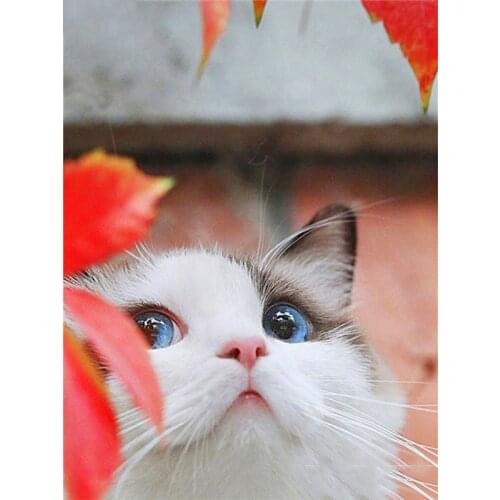 Love.Thanks Animal Diamond Paint Pet Cat Diamond Art Painting Embroidery Kit Diamond Embroidery Painting