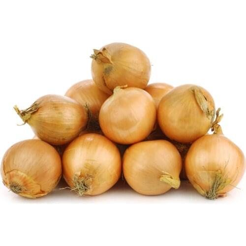 Лук репчатый 25 г