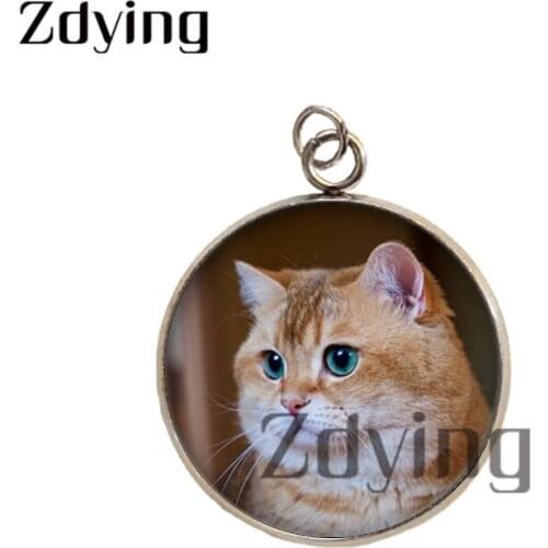 Zdying Stainless Steel Cute Cat Pendants Glass Cabochon Animal Cat Photo Dome Charms Necklaces Jewelry Accessories C005