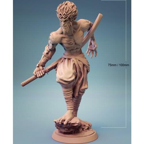 1/24 75mm 1/18 100mm Resin Model Kits Wukong Unpainted No Color
