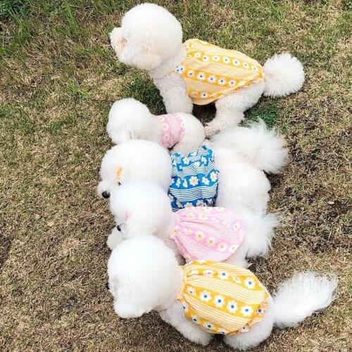 Spring and Summer Pet Sling Bichon Teddy Dog Skirt Bubble Vest Breathable Pet Clothes Dog Sleeveless Princess Dress