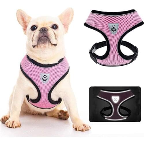 Dog Collar and Leash Set Pet Breathable Mesh HarnessTraction Rope Collar for Puppy Dogs Cats Walking Lead Leash Pet Accessories