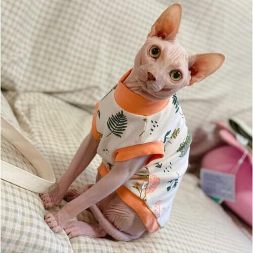 Sphinx hairless cat German cat pet clothes spring and summer sleeveless thin vest