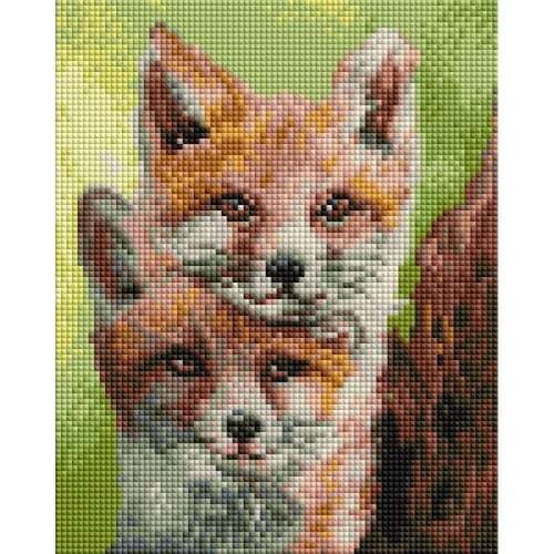 SNOWWHITE Kits For Embroidery With Beads