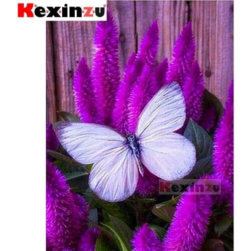 Full 5d Square/Round Diamond Painting-butterfly-3d Diamon Embroidery kit Cross Stitch Mosaic Full Picture Rhinestone Decor Y067